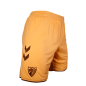 SHORTS 3RD KIT 24/25 -JUNIOR-
